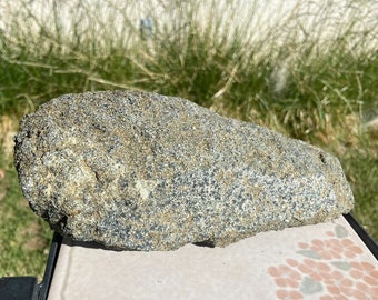 片岩ライルクロコダイルガーデン、パティオ、テラリウム、マントルコレクターストーン