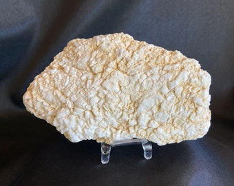 プリンセスコレクターストーン