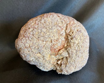 CONSCIOUS コレクターストーン