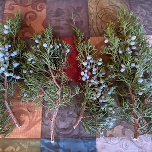 CALIFORNIA JUNIPER FRESH Cut 1 Pound Cut Berry Branches Floral Stems Greenery Foliage