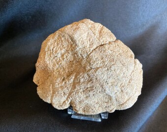 ゼロからのコレクターストーン