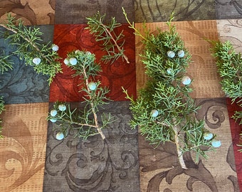Ramitas de enebro de California, ramas de bayas frescas cortadas, tallos florales, follaje verde, manojo