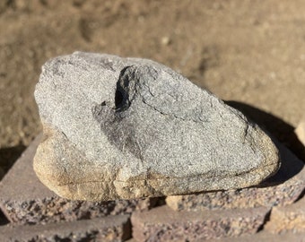 砂岩製のワニの頭部の彫刻、ロックガーデンの装飾、テラリウム用石