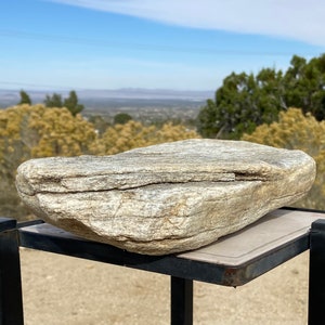 LIMESTONE TURTLE ISLAND Reptile, Terrarium, Habitat, Rock Garden, Collector Stone