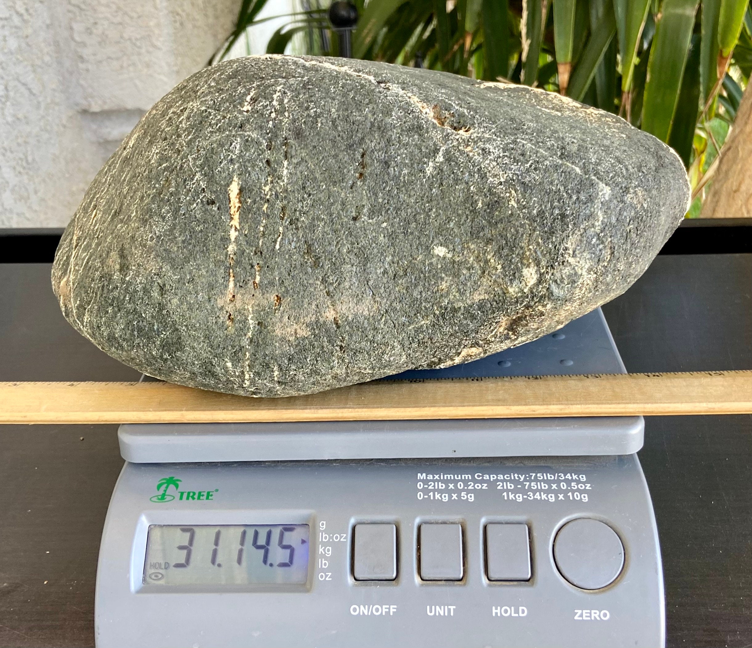 BASALT VULCAN'S PILLOW Lava Rock, Volcano, Landscape, Terrarium, Pond