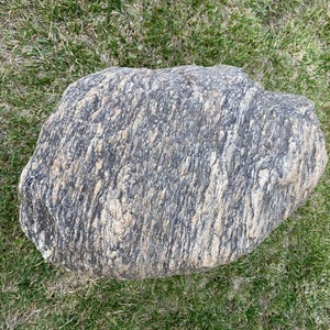 GNEISS 67 Opportunities Collector Garden, Terrarium, Porch, Patio Landscape Stone,