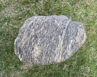 GNEISS 67 機会コレクターガーデン、テラリウム、ポーチ、パティオ景観石、