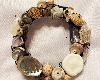 カリフォルニアサンドダラーのシェルリース