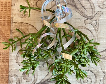 ジュニパー ヤドリギ カリフォルニア高砂漠植物 切り花 パーティー 飾り デコレーション