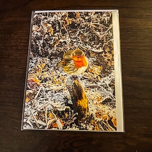 Cartes de Noël de merle d'Ecosse