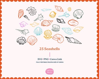 Seashell Clipart Bundle: Hand-Drawn Coastal SVG PNG (Digital Download)