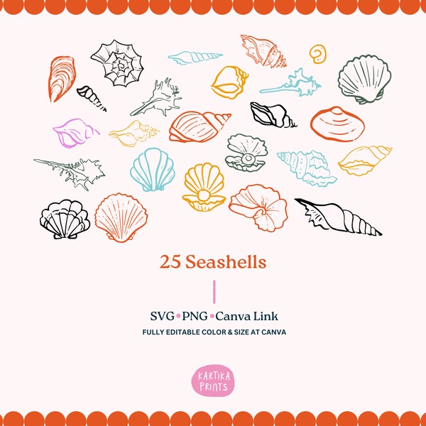 Seashell Illustration Bundle SVG PNG - Hand Drawn Nautical Coastal Clipart, Marine Life Sketch, Drawing Oyster Outline, Shell Sketch Art