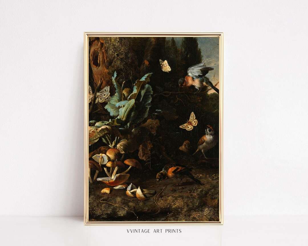 Vintage Moody Birds Prints Dark Academia Birds Butterflies Etsy
