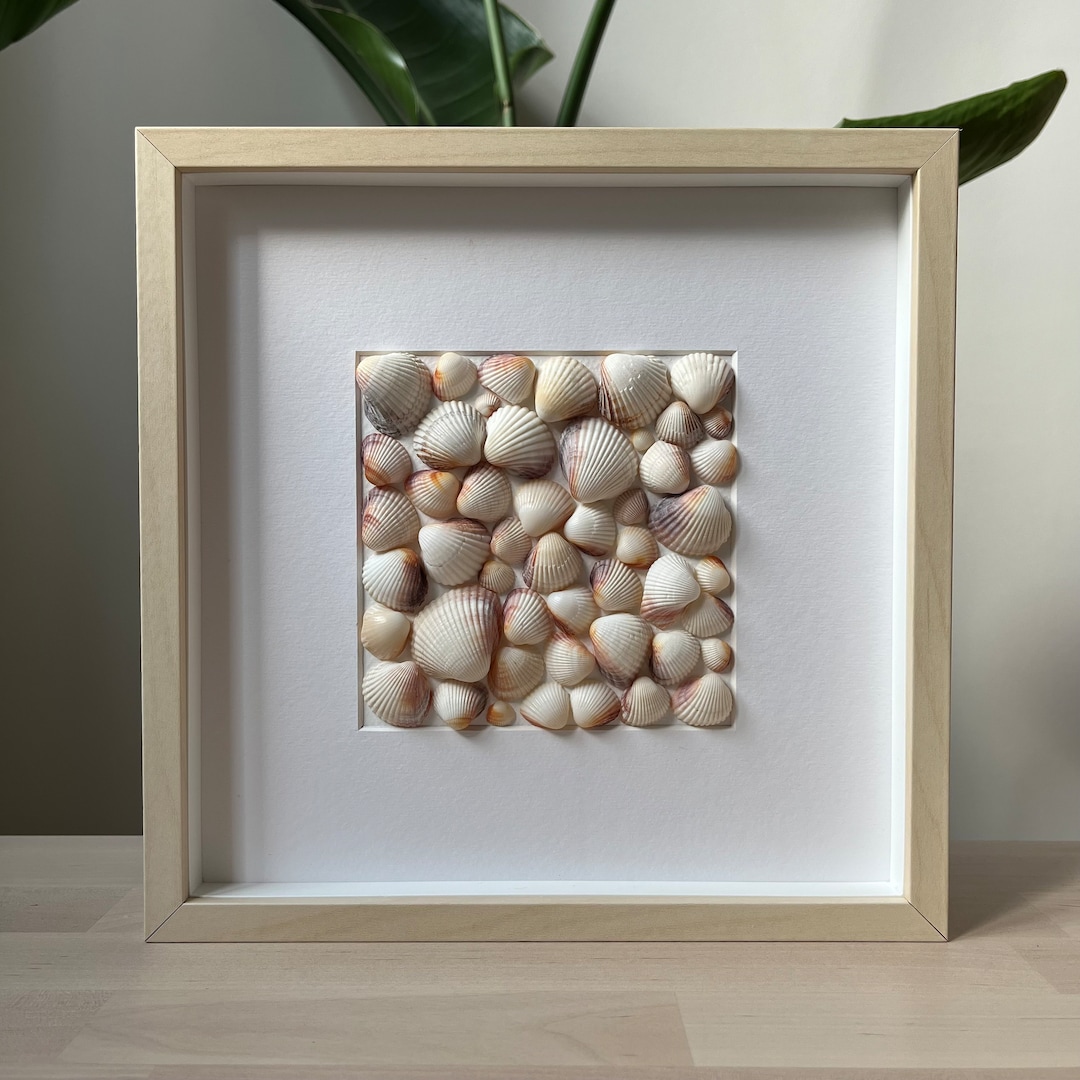 Seashell Collage Art, Coastal Shadow Box, Mussel Shells - Etsy