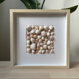 Coastal Sea Shell College Art, Shadow Box, Mussel Shells, Shell Picture Frame, Shell Mosaic Art, Housewarming Gift, Summer House Decor