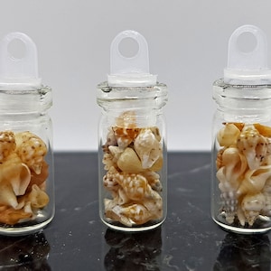 Może przedstawiać: Trzy małe szklane słoiki z przezroczystymi pokrywkami i pętlą do zawieszenia. Każdy słoik jest wypełniony różnymi małymi muszelkami w odcieniach brązu, bieli i beżu.