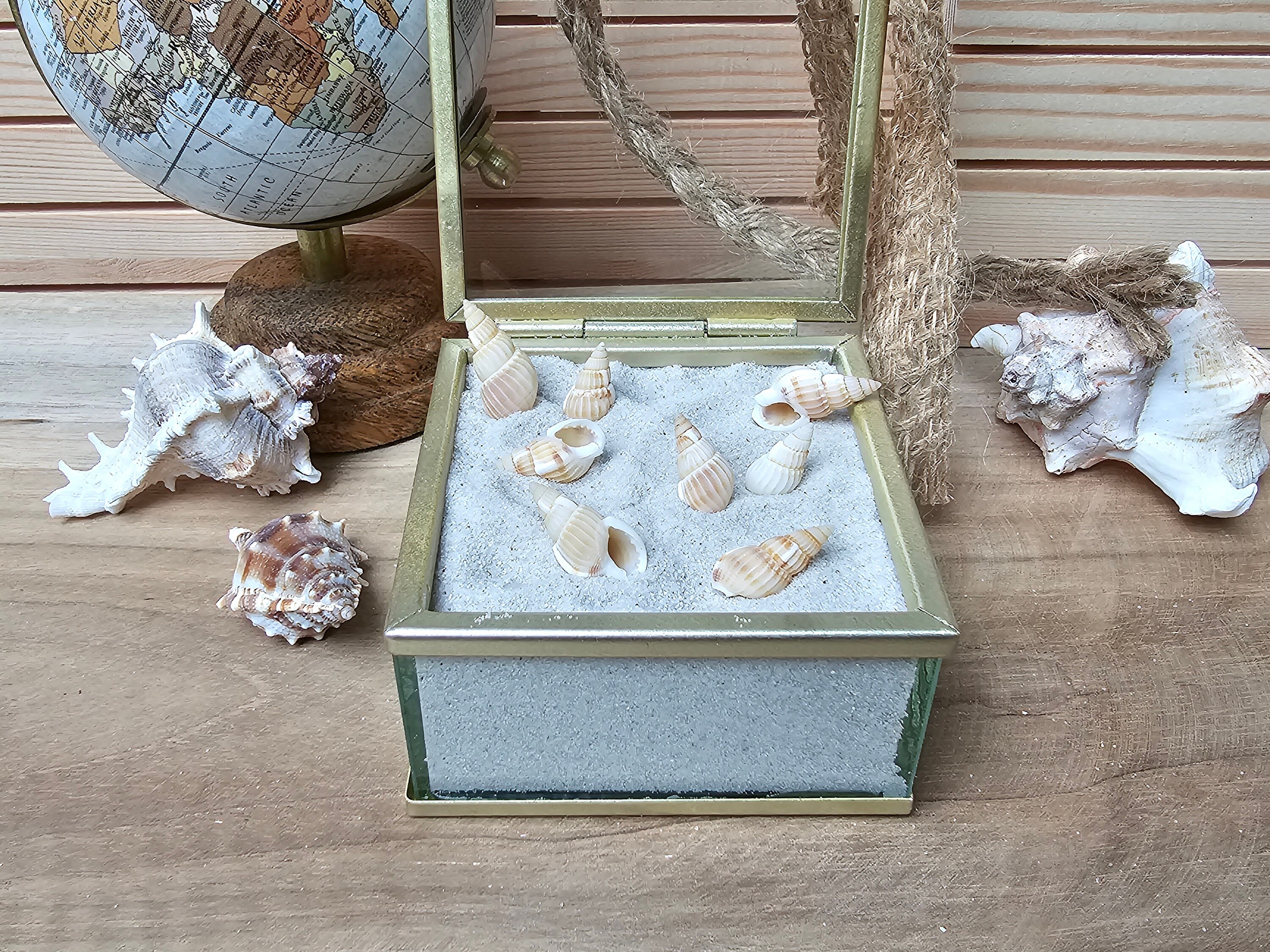 100 Tiny Mini Spiral Staircase Set, Small Shells, Tiny Beach Finds ...