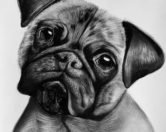 Custom Charcoal Dog Drawing, Pet Portrait from Photo, Personalized Drawing for Cats and Dogs, Realistic Portrait Drawing, Commission Drawing