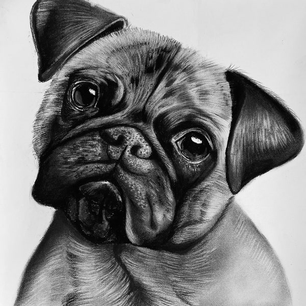 Custom Charcoal Dog Drawing, Pet Portrait from Photo, Personalized Drawing for Cats and Dogs, Realistic Portrait Drawing, Commission Drawing