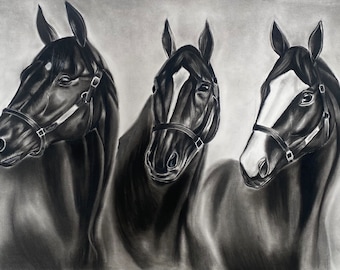 Original Handmade Charcoal Drawing, Charcoal Artwork, Horse Wall Decor, Equine Art, Gift for Horse Lover, Horse Drawing on Paper