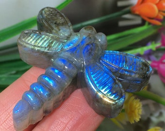 1.5" Natural Labradorite,Crystal dragonfly,crystal skulls, Specimen crystal,home decoration,crystal gifts 1pc