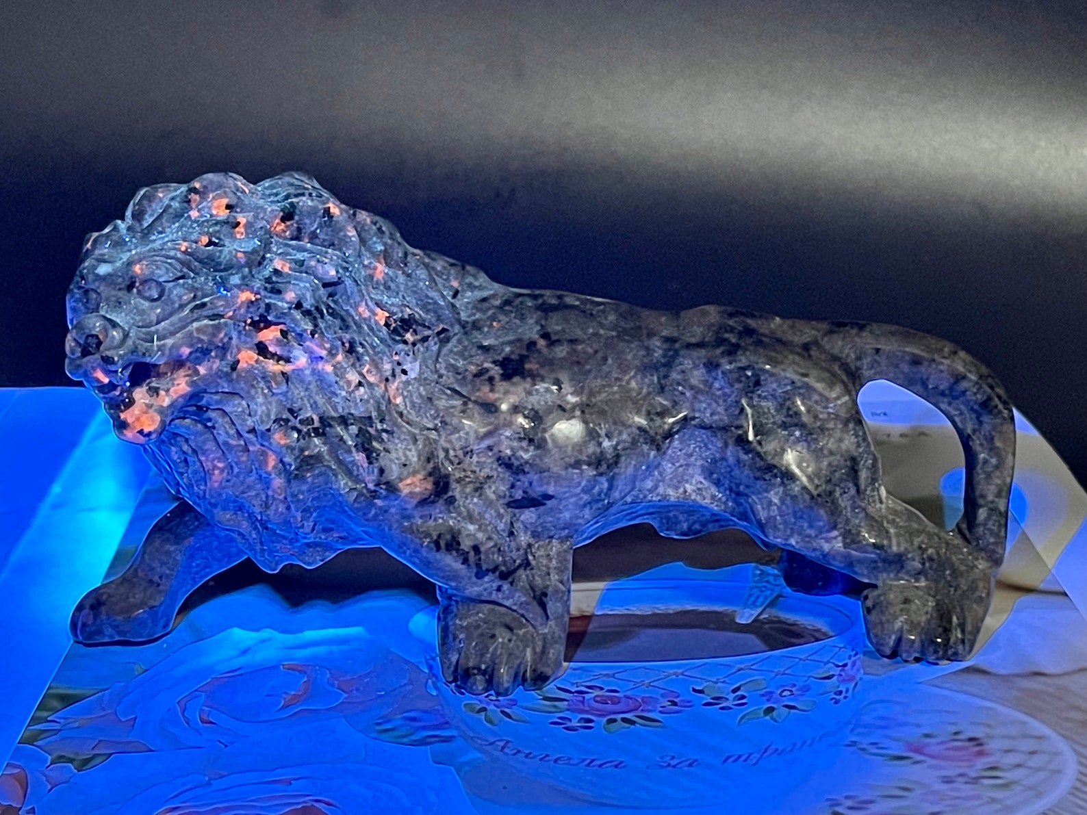 6 Natural Yooperlite Hand Carved Lion Skull Crystal Lion Home