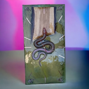 May include: A rectangular wall clock with a dark green and brown resin design. A purple snake is the focal point, with clock hands and white hour markers. Decorative snake motifs are in each corner.
