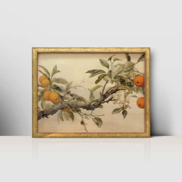 Vintage Citrus Print: Rangpur Clementine Tangerine Twig Art - Downloadable Digital Print for Vintage Wall Decor