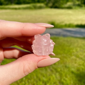 May include: A small, carved rose quartz figurine of a bear held between fingers. The bear is light pink and has detailed features. The background is a blurred view of green grass and trees under a bright sky.