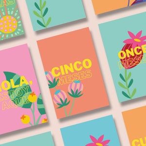 Baby Milestone Cards - ESPAÑOL - Botaniques - Cartes imprimables A6 - Cartes du mois de bébé - Espagnol - TÉLÉCHARGEMENT NUMÉRIQUE