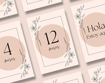 Tarjetas Baby Milestone - ESPAÑOL - Diseño Neutro - Tarjetas Imprimibles A6 - Tarjetas Mes Bebe - Español - DESCARGA DIGITAL