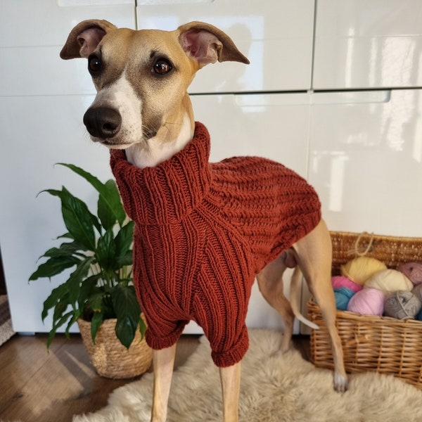 Merino Wool - Sweater for Dog - Ear pattern - short sleeve - Individual order - Whippets - Italian Greyhounds - Any breed of Dog