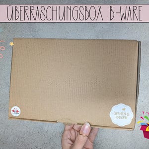 B-Ware Überraschungsbox, Sparchallenges Sparspiele Budget Sheets Einlagen für Budget Binder A6, Überraschungstüte