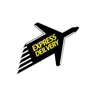 May include: Black and white illustration of an airplane with the text "EXPRESS DELIVERY" in yellow.