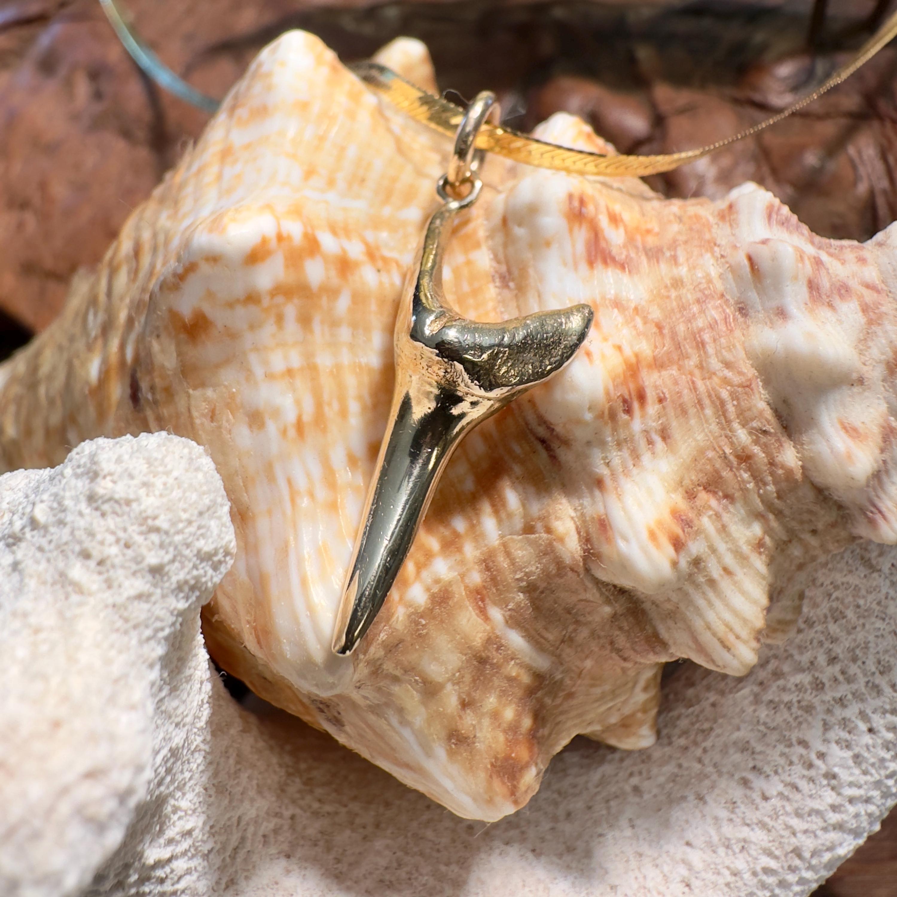 14k Solid Gold Mako Shark Tooth Pendant - Made from an absolutely perfect specimen