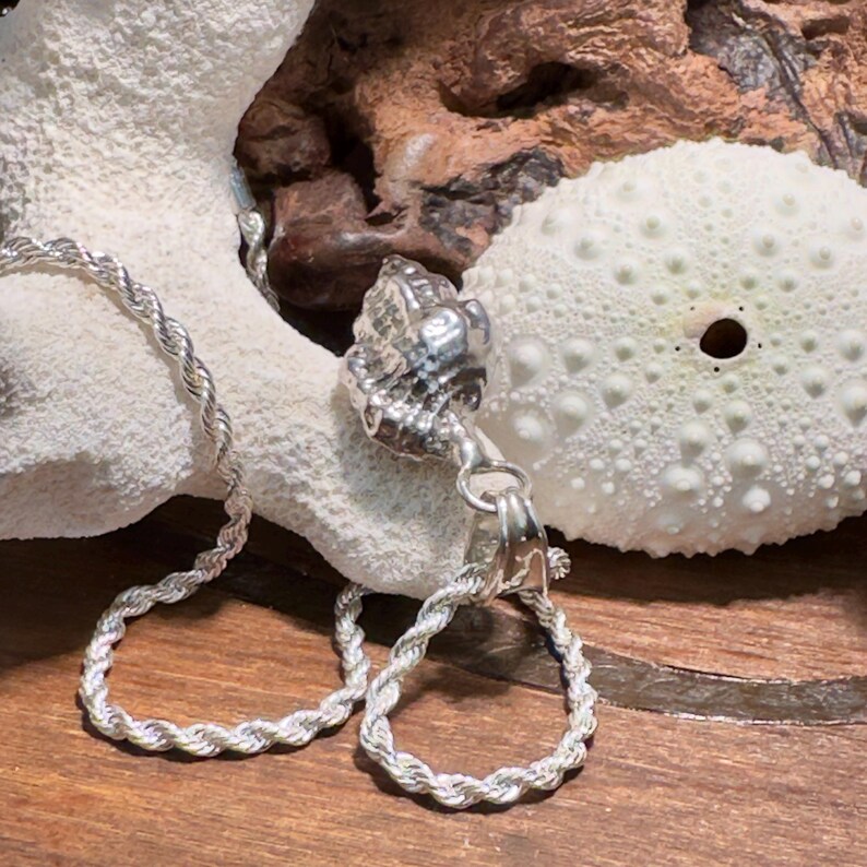 Shell Chandelie Rwith Rope Sterling Silver Murex Shell Pendant: Exuma Bahamas Cast - Etsy Canada