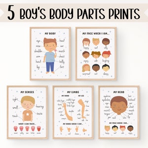Conjunto de carteles educativos Boy's My Body Parts / Anatomía humana Montessori para niños pequeños / Decoración del aula preescolar / DESCARGA DIGITAL