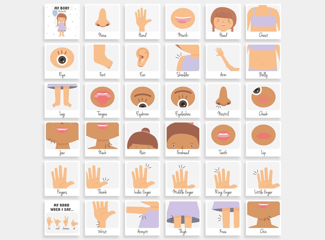 Body Parts Flashcards | Preschool Flash Card | Human Anatomy & Organs ...