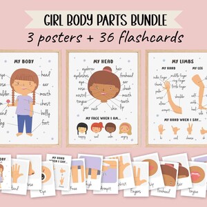 Body Parts Posters + Flashcards Bundle | Preschool Flash Cards | Human ...
