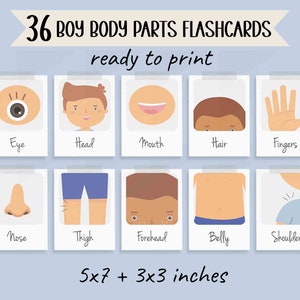 Body Parts Posters + Flashcards Bundle | Preschool Flash Cards | Human ...