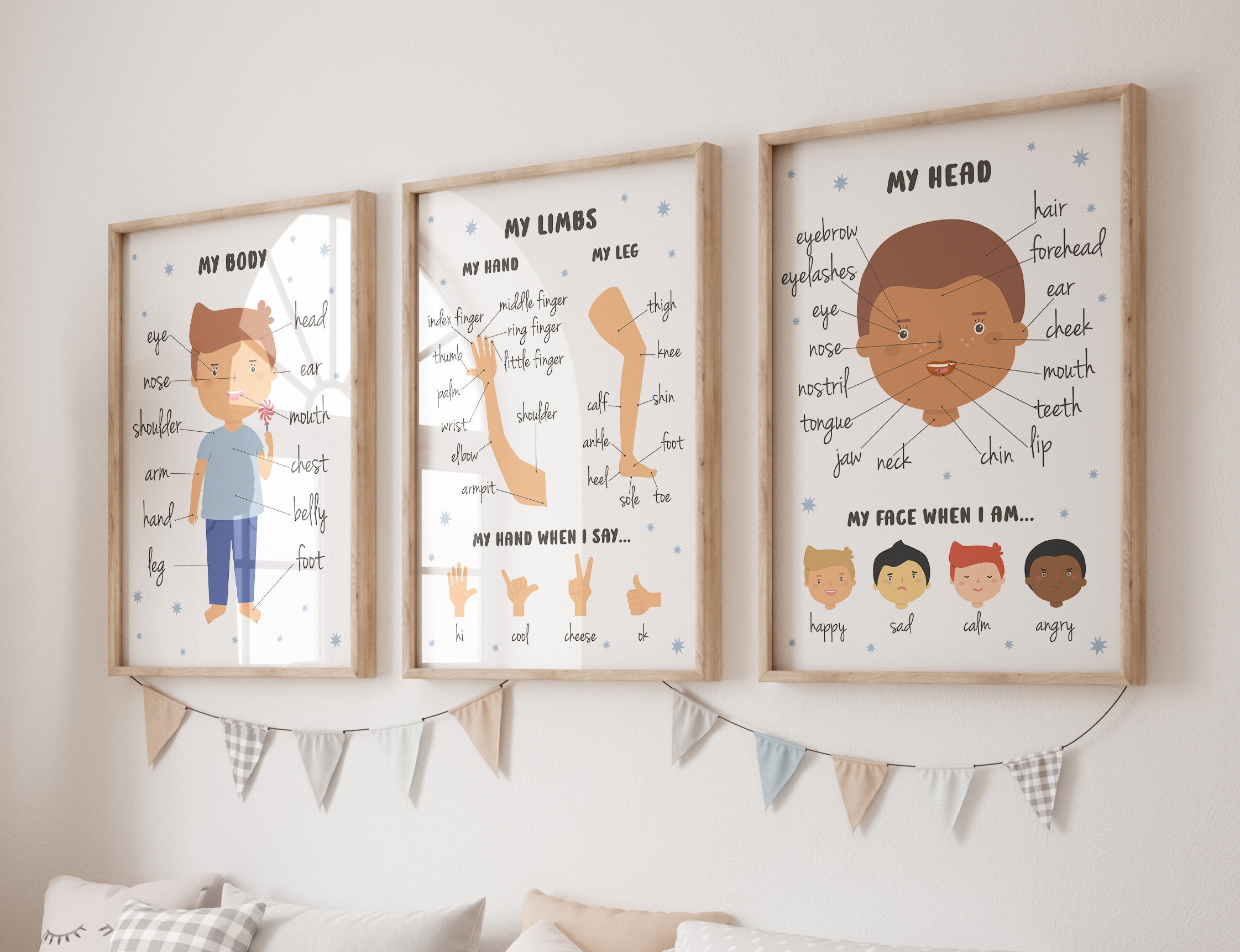 Body Parts Posters Flashcards Bundle Preschool Flash Cards Human ...