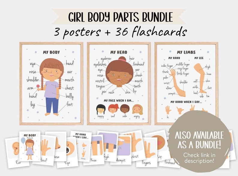 Body Parts Flashcards Preschool Flash Card Human Anatomy Organs Body Parts Flashcards Preschool Flash Card Human Anatomy Organs