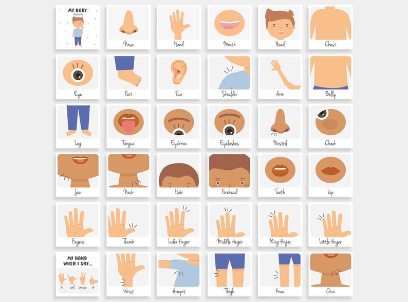 Body Parts Posters Flashcards Bundle Preschool Flash Cards - Etsy