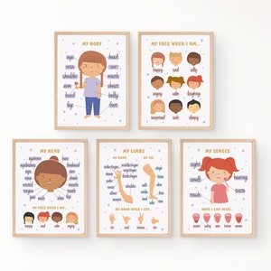 Conjunto de carteles educativos Girl's My Body Parts / Anatomía humana Montessori para niños pequeños / Decoración del aula preescolar / DESCARGA DIGITAL