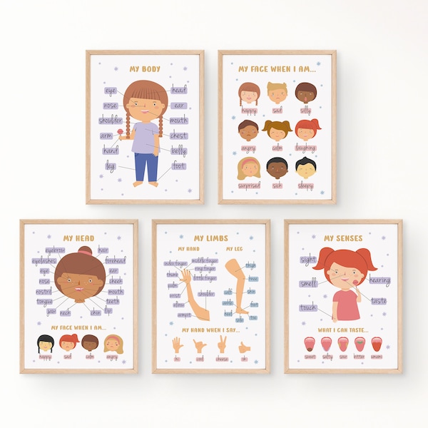 Girl's My Body Parts Educational Poster Set | Montessori Human Anatomy For Toddlers | Preschool Classroom Decor | DIGITAL DOWNLOAD