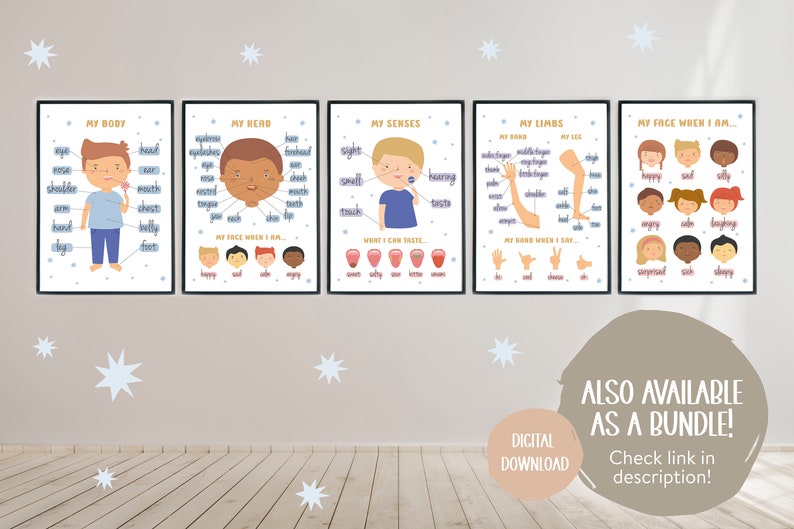 My Body Parts Poster | Montessori Homeschool Educational Poster for ...