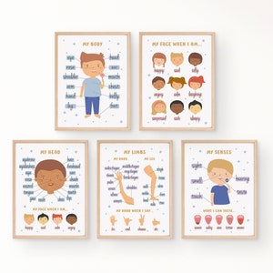 Educatieve posterset voor mijn lichaamsdelen voor jongens | Montessori menselijke anatomie voor peuters | Decor van het kleuterklaslokaal | DIGITALE DOWNLOAD