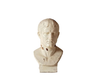 20th Century French Male Plaster Bust