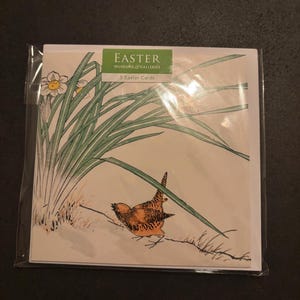Juego de 5 tarjetas de Pascua / Diseño primaveral de pájaros y narcisos / Hermosas tarjetas ilustradas de naturaleza / Juego de papelería de Pascua / Paquete de tarjetas de temporada