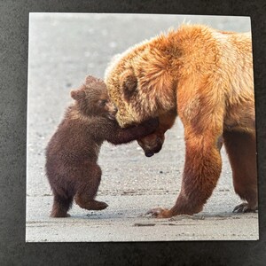 Carte de voeux pour bébé ours | Art animalier mignon | Blanc à l'intérieur | Cadeau pour les amoureux des ours | carte esthétique | Ours brun | Maman et bébé ours